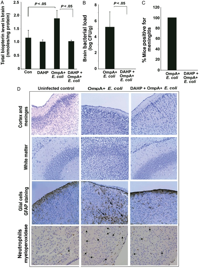 Figure 6.