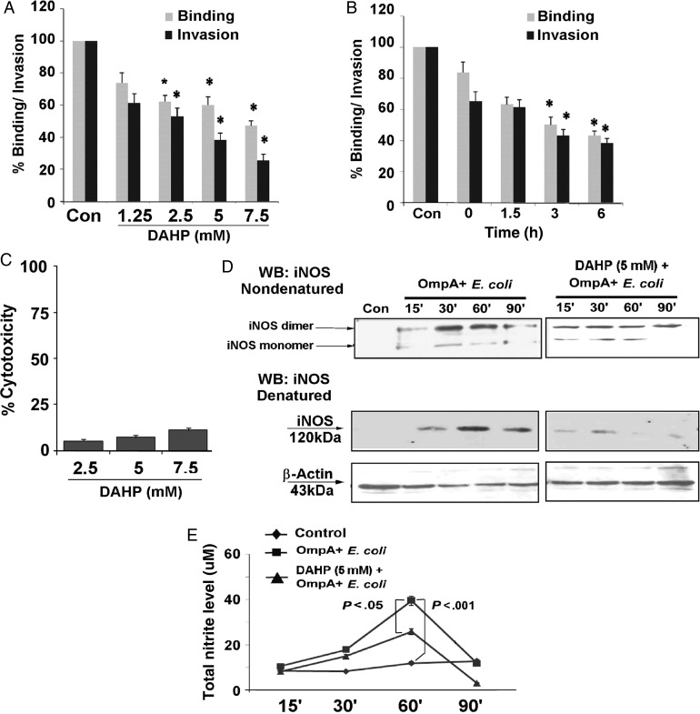 Figure 2.