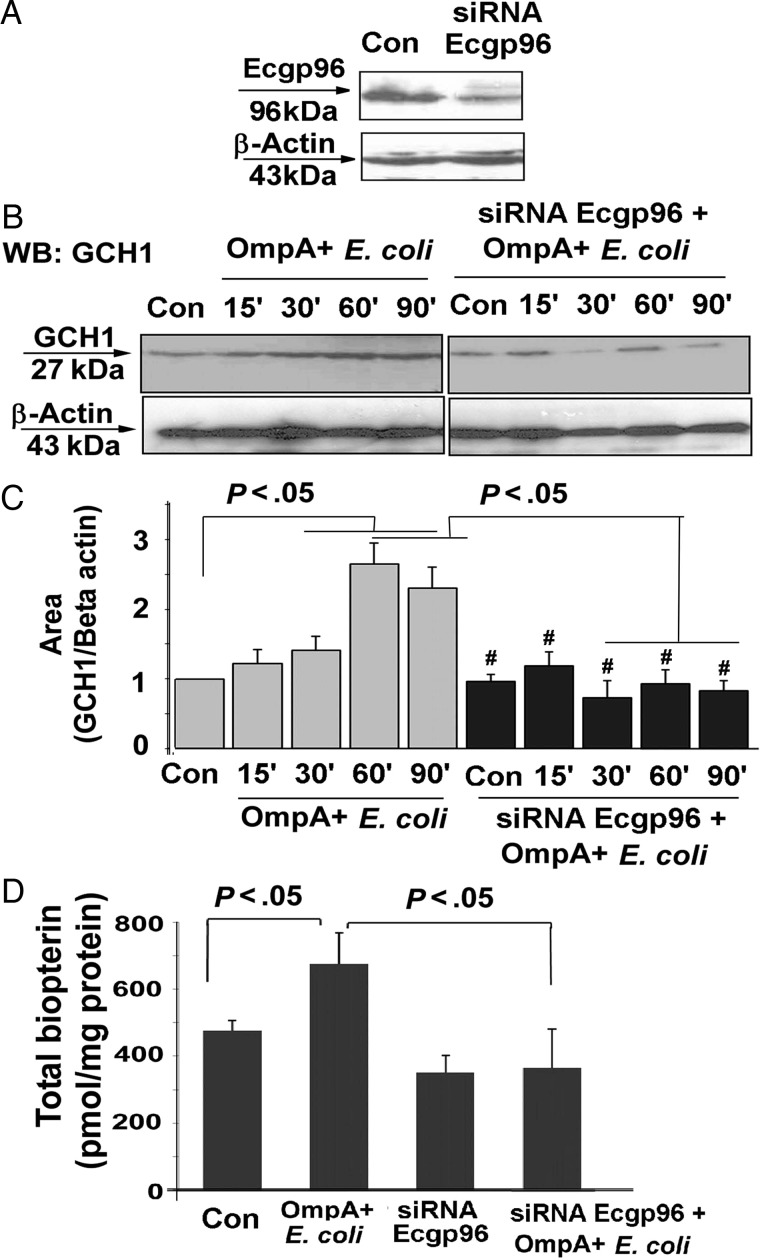 Figure 5.