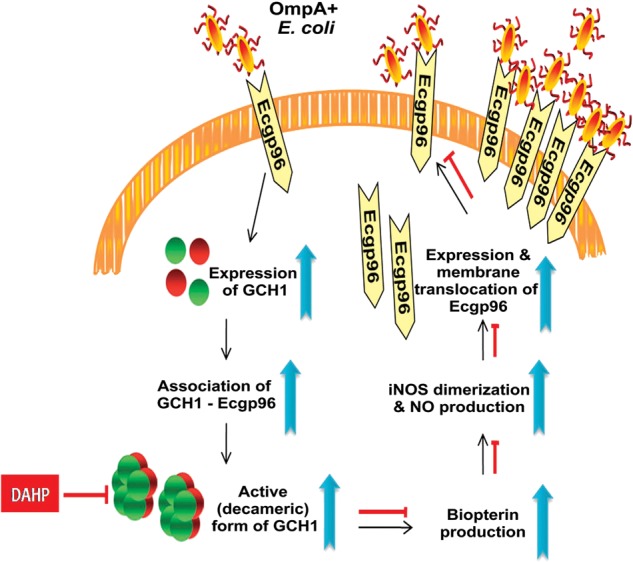 Figure 7.