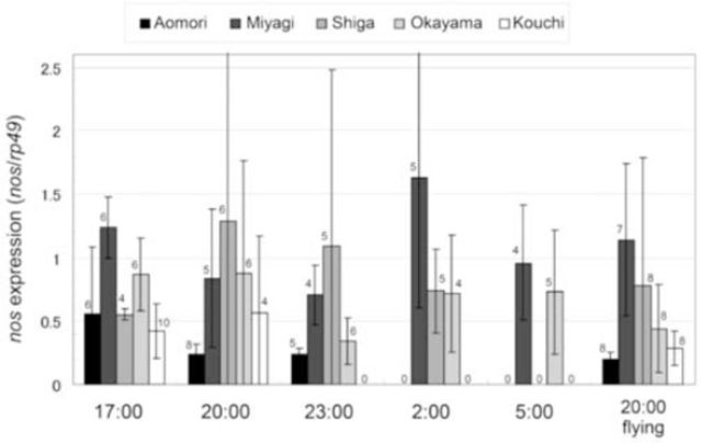 Figure 6.