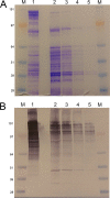 FIG 6