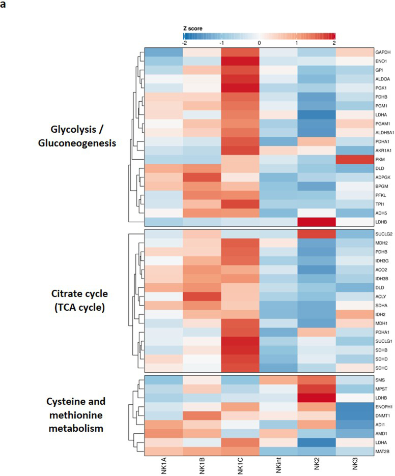 Extended Data Fig. 5