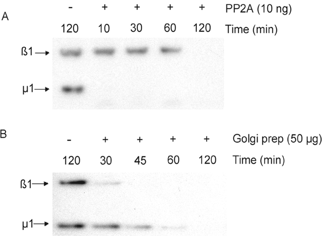 Figure 9.