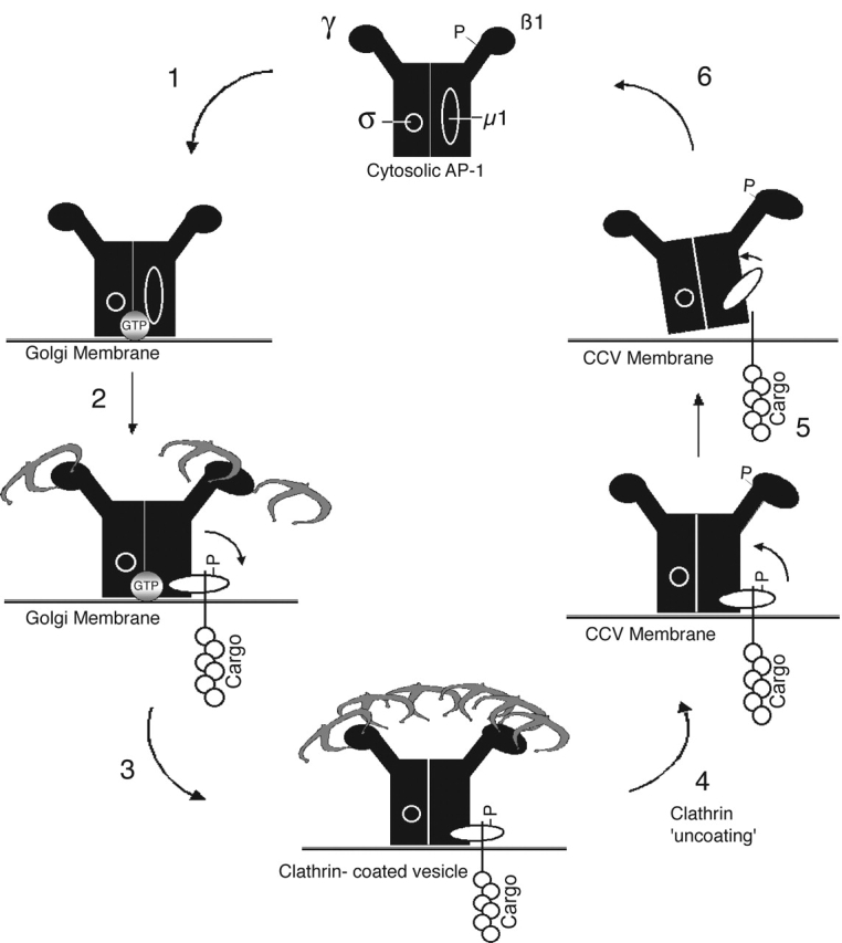 Figure 10.