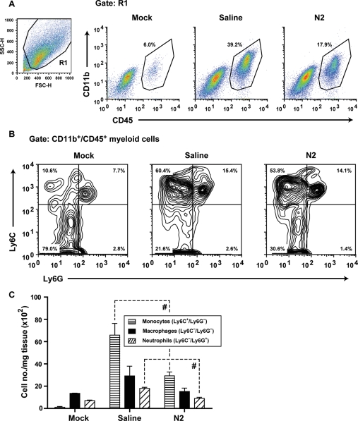 Figure 4