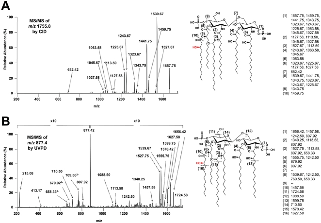 Fig. 3