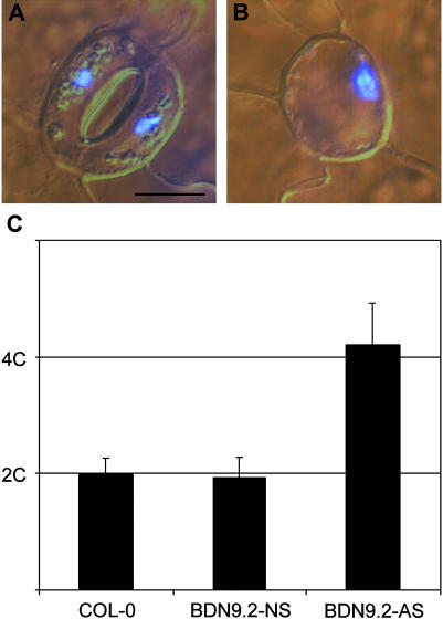 Figure 7.