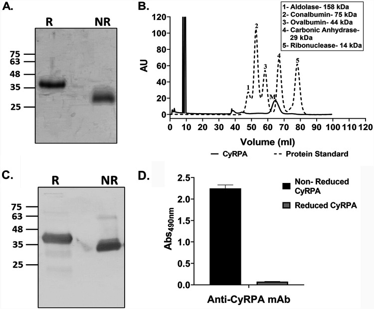 FIG 1