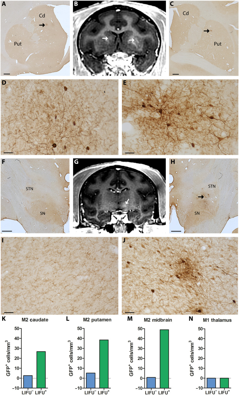 Fig. 4.