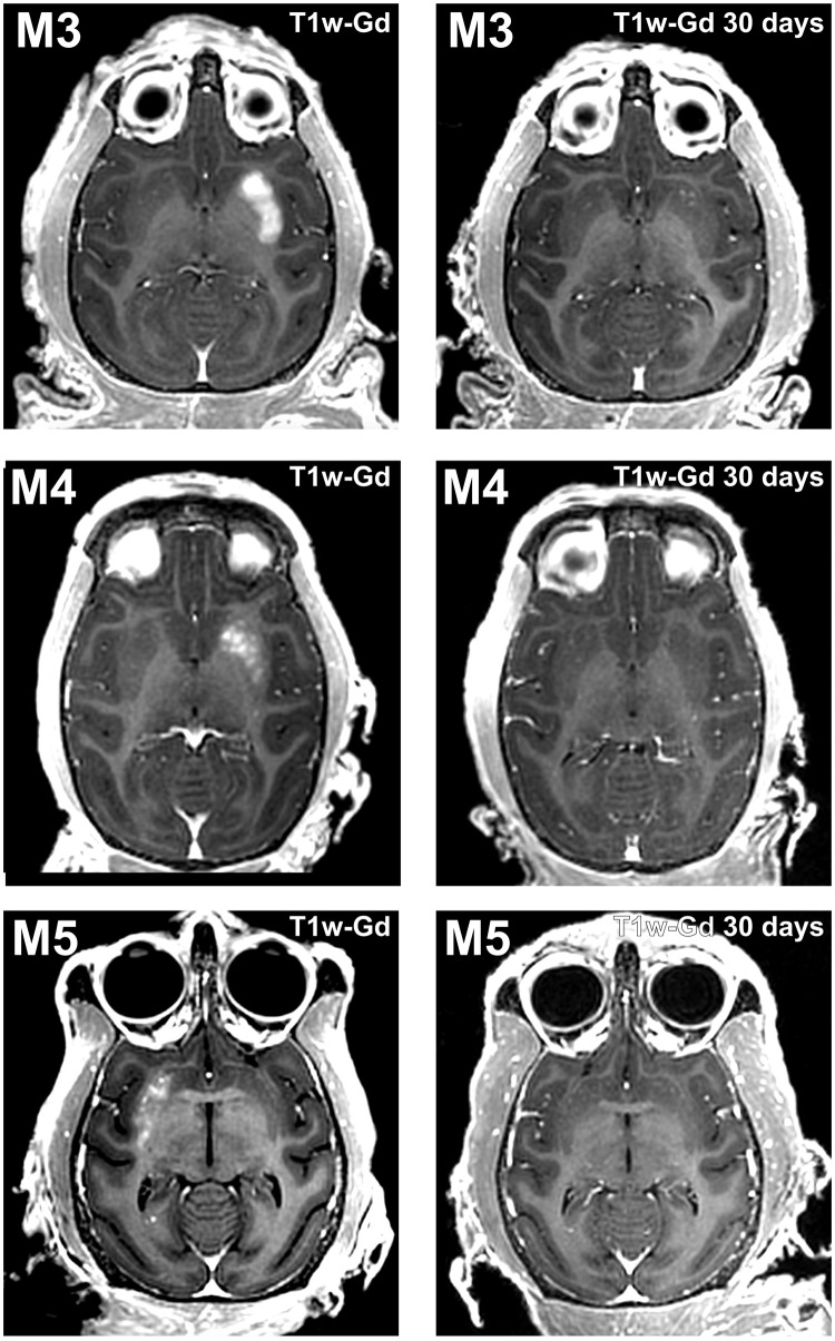 Fig. 2.