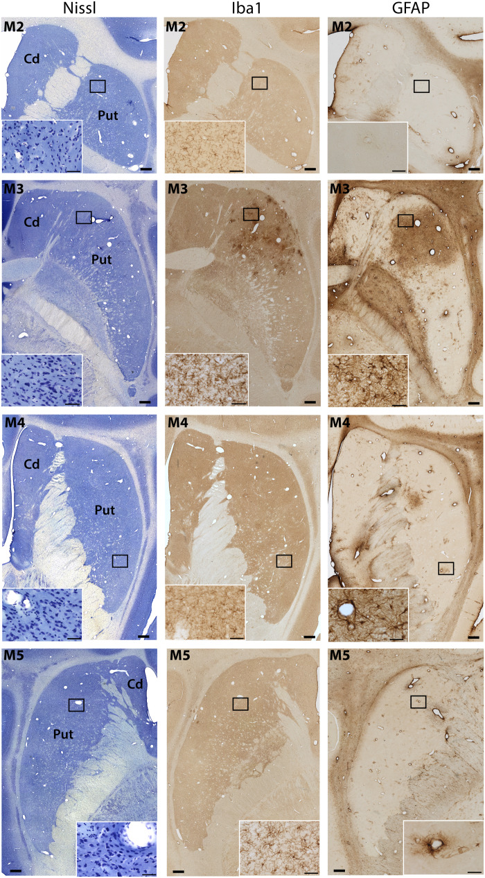 Fig. 7.