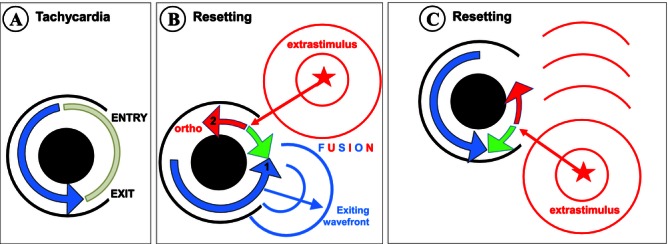 Figure 8