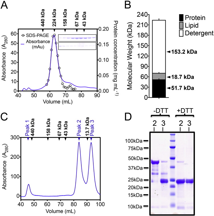 Fig. 3