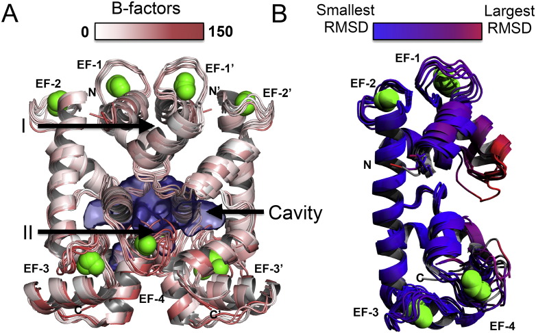 Fig. 2