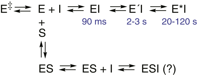 Figure 11