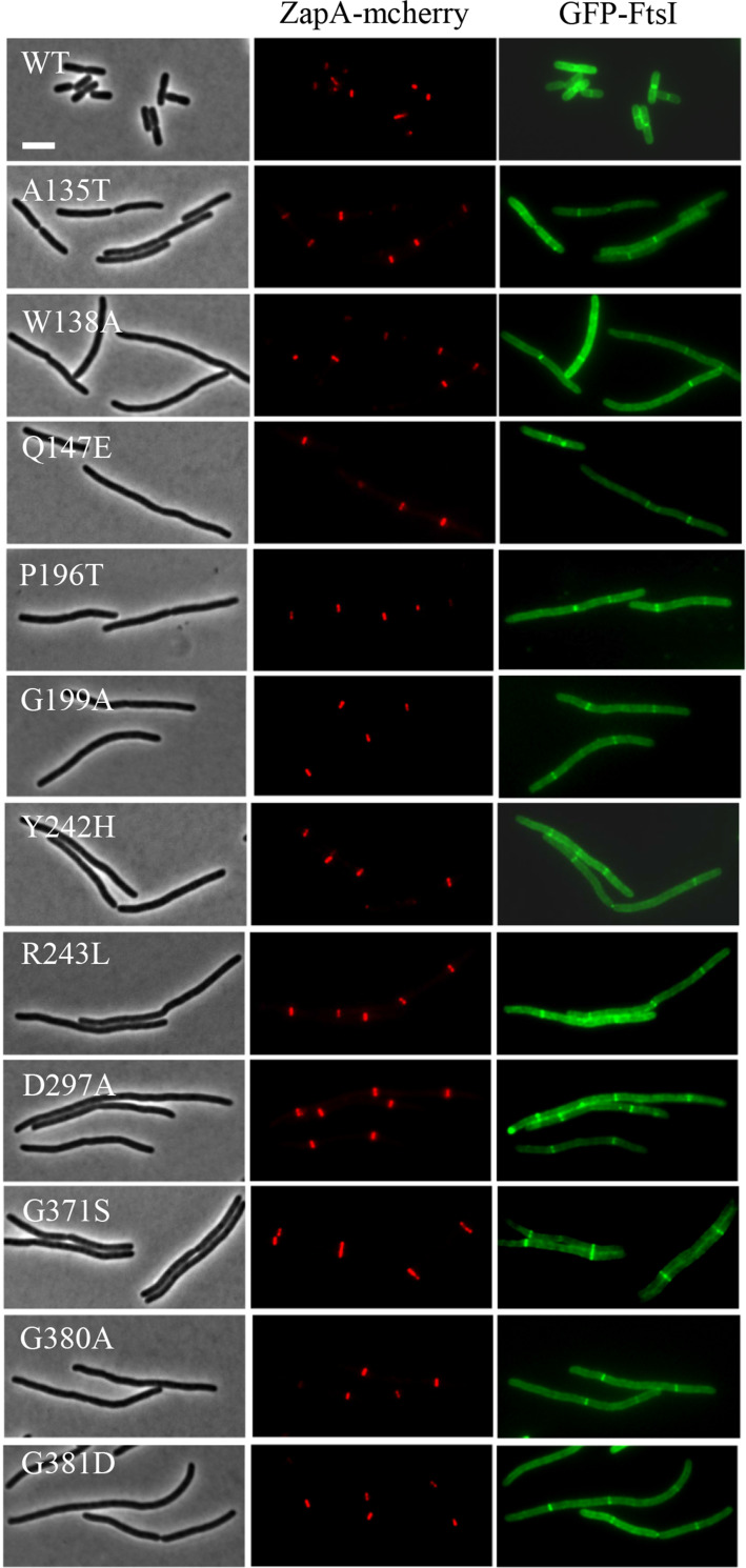 Fig 6