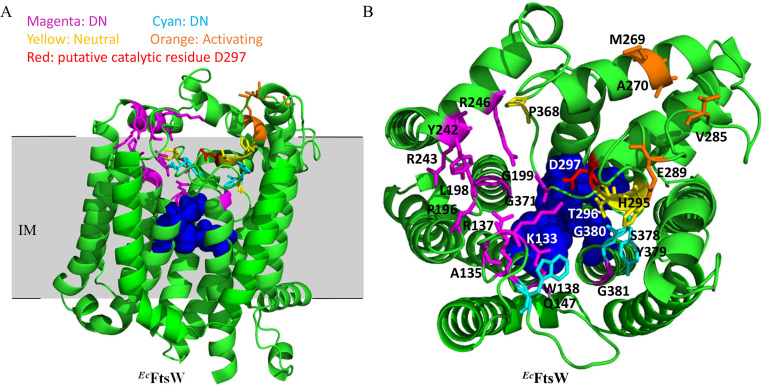 Fig 3