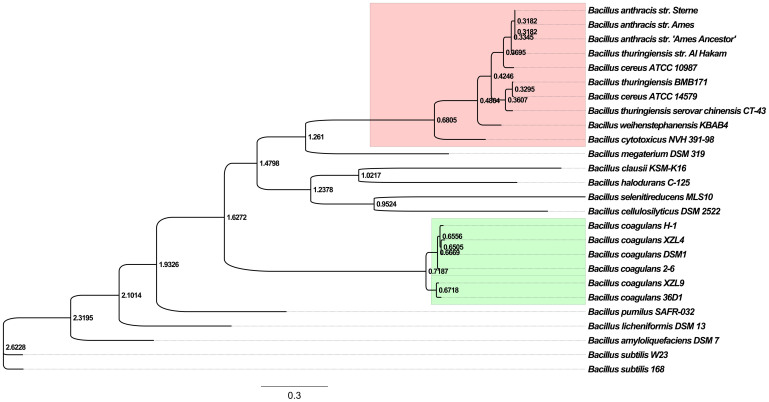 Figure 2