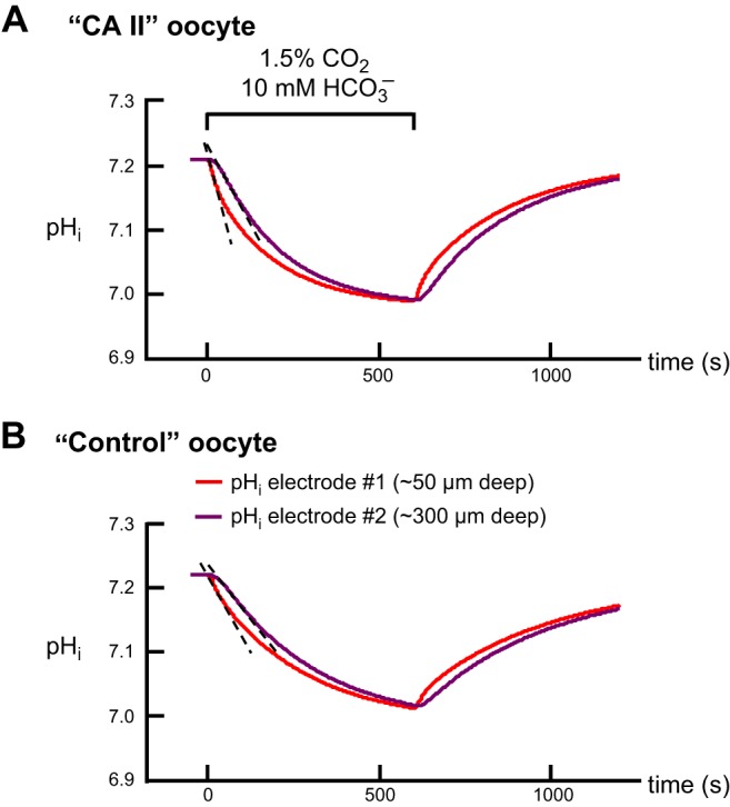 Fig. 16.