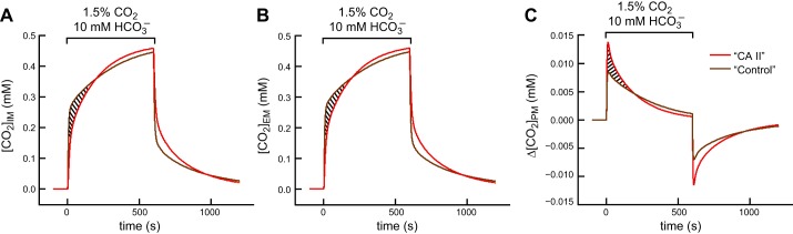 Fig. 11.