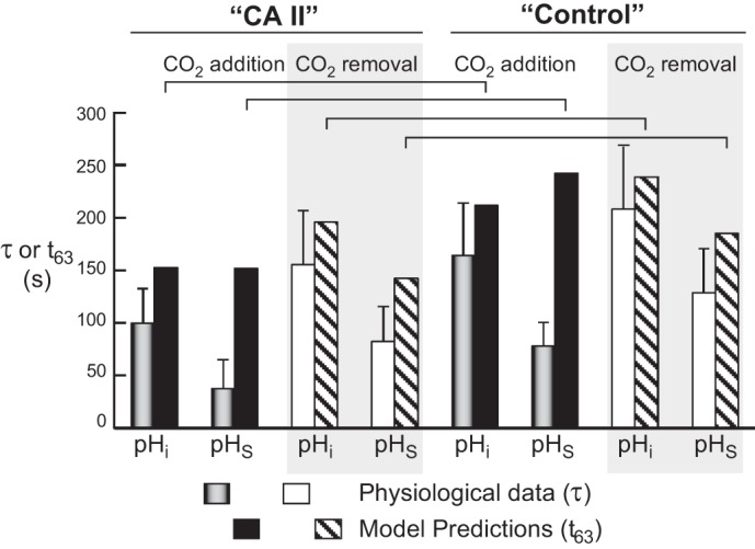 Fig. 13.