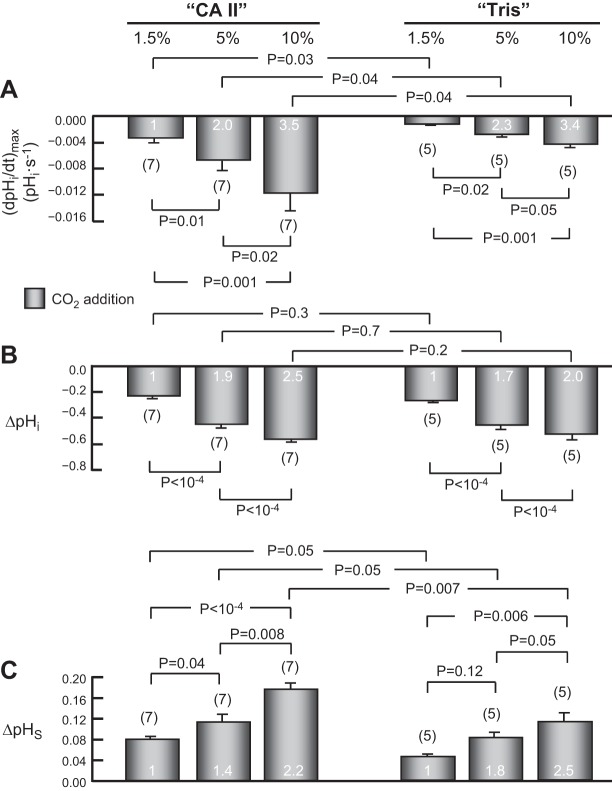 Fig. 10.