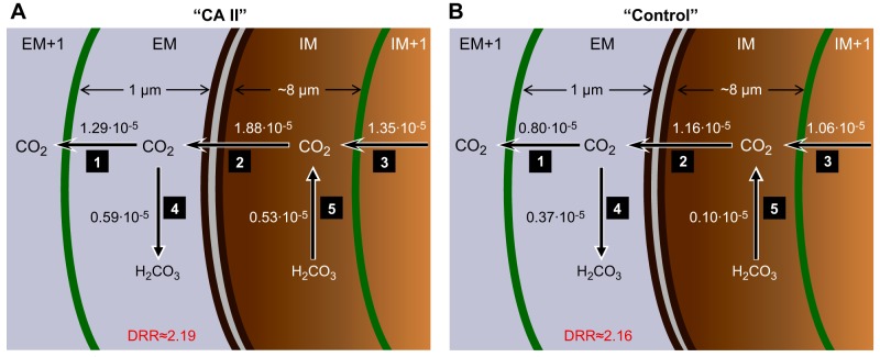 Fig. 14.