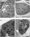 Fig 8