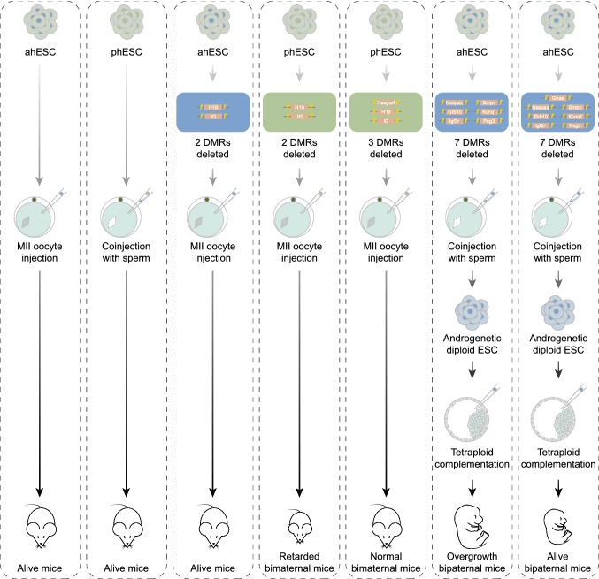 Figure 4