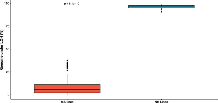 Figure 1—figure supplement 4.