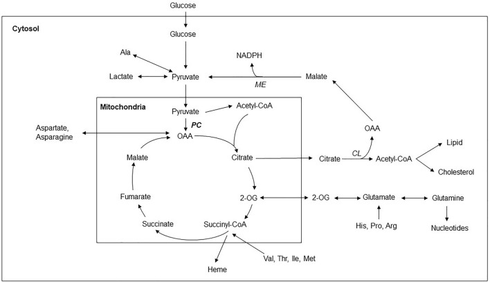 Fig. 6
