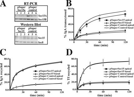 Figure 10.