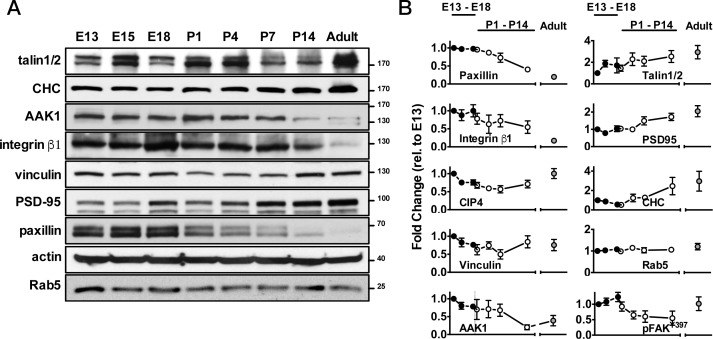 Figure 7—figure supplement 3.