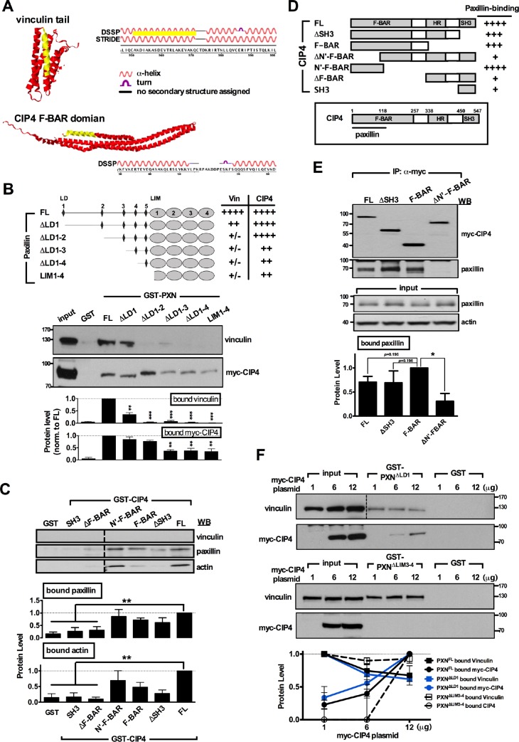 Figure 4—figure supplement 1.