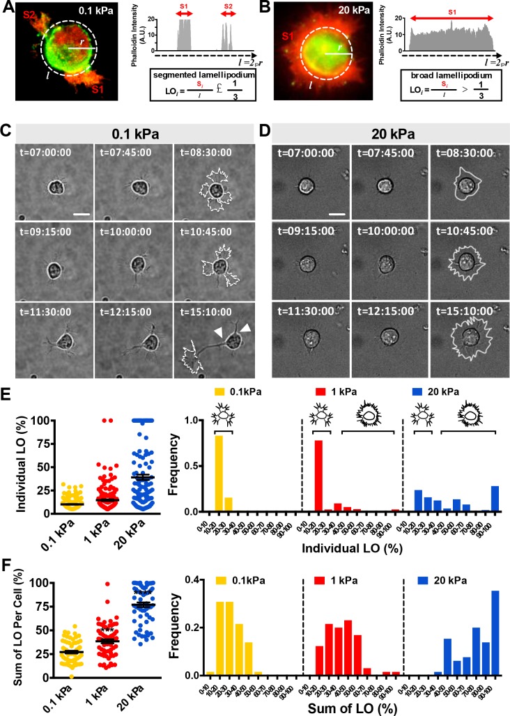 Figure 1—figure supplement 2.