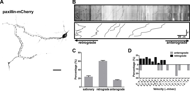 Figure 3—figure supplement 2.