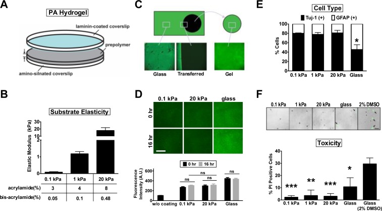 Figure 1—figure supplement 1.