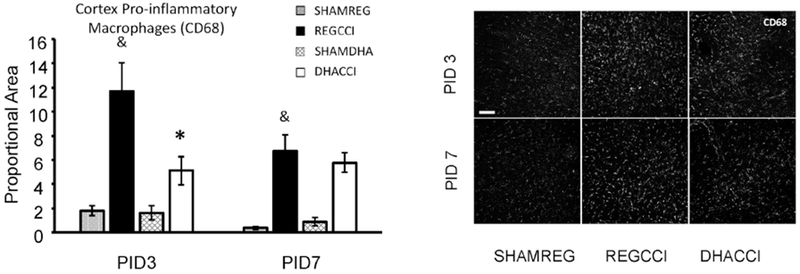 Figure 7: