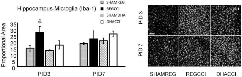 Figure 4: