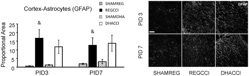 Figure 5: