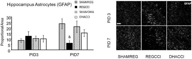 Figure 6: