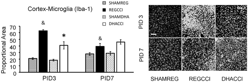 Figure 3: