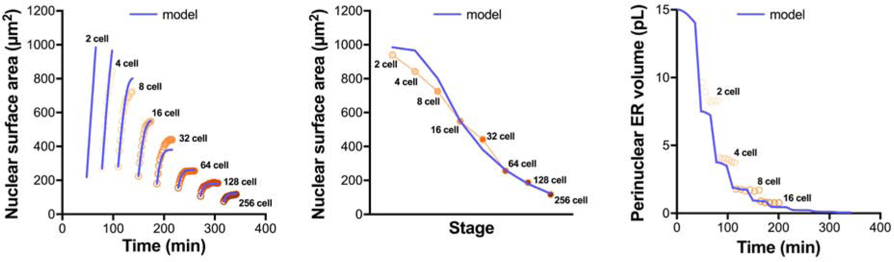 Figure 6: