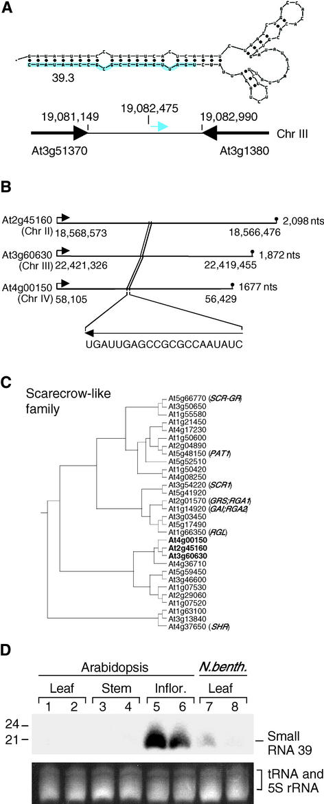 Figure 7.