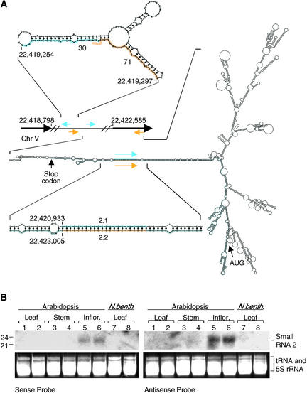 Figure 6.