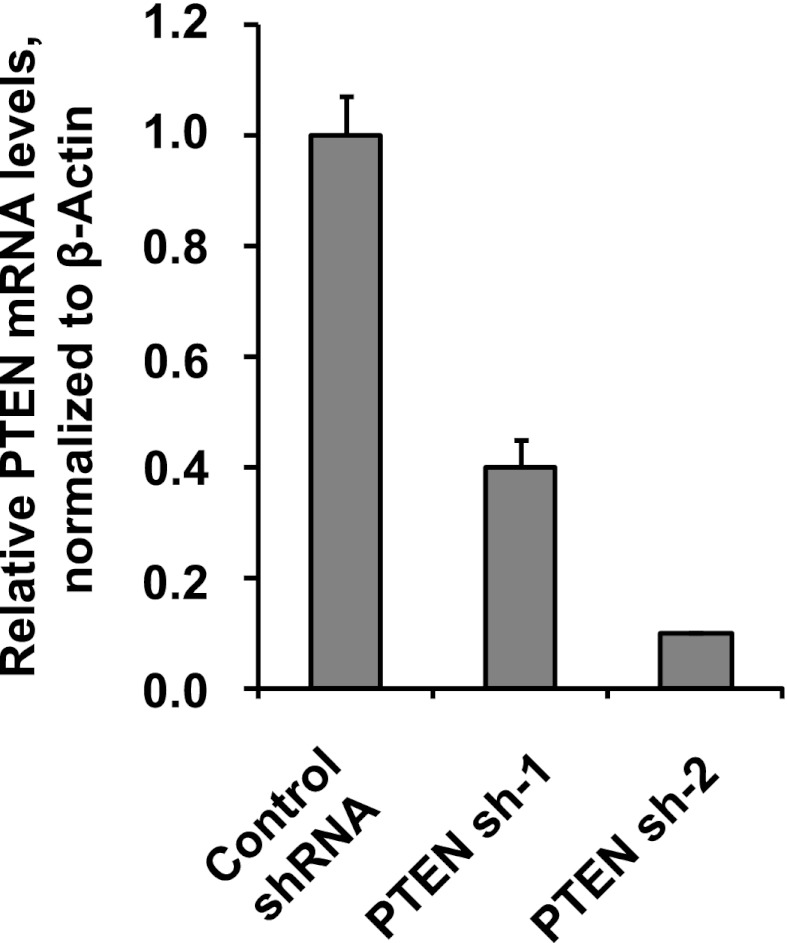 Figure 4—figure supplement 6.