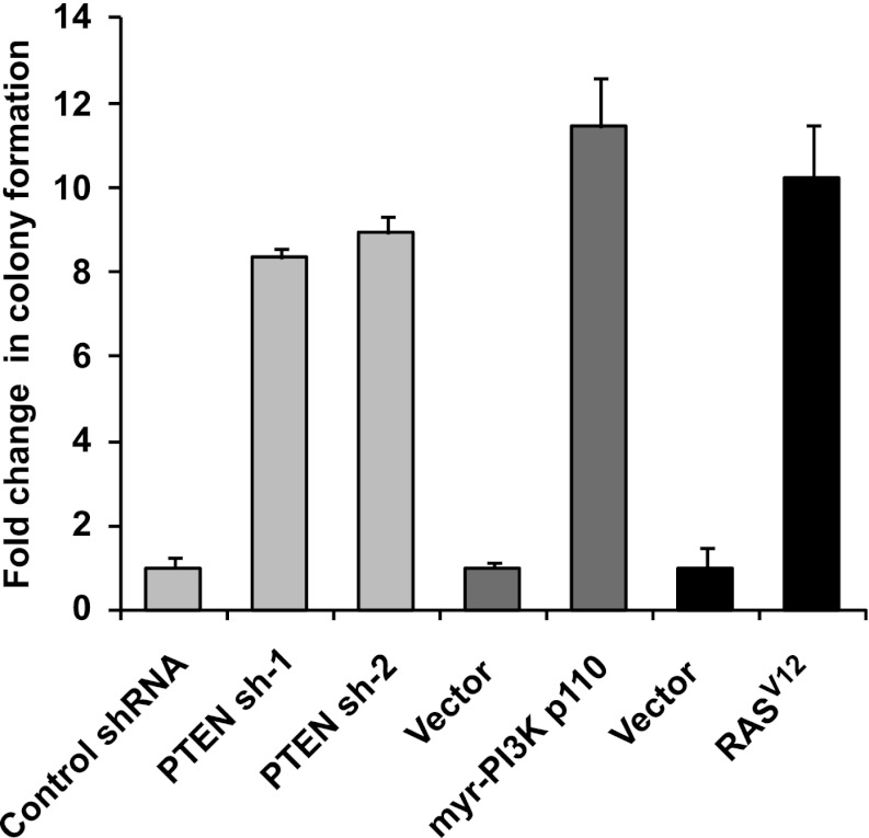 Figure 4—figure supplement 3.