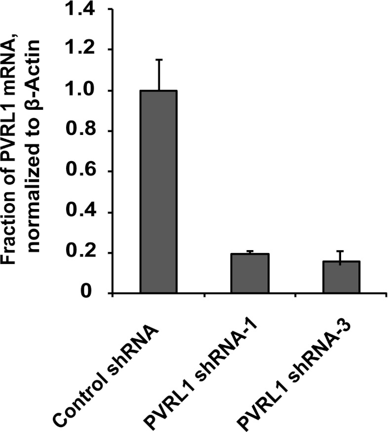 Figure 3—figure supplement 3.