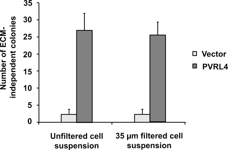 Figure 3—figure supplement 2.